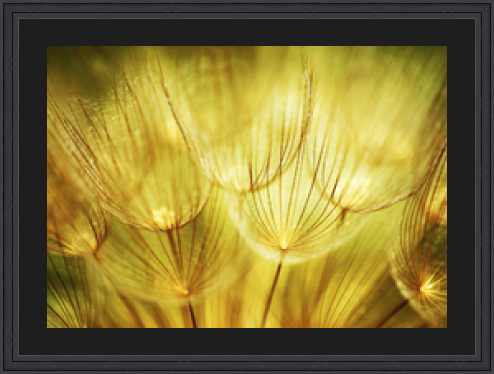 RK CADRES le numéro un encadrement 