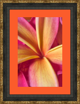 RK CADRES le numéro un encadrement 