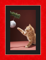 RK CADRES le numéro un encadrement 