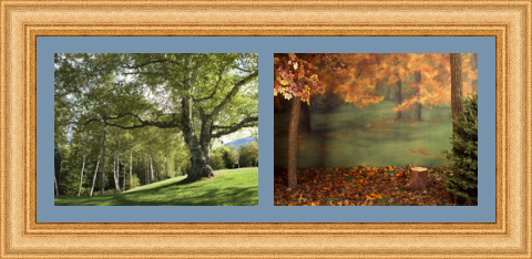 RK CADRES le numéro un encadrement 