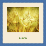 RK CADRES le numéro un encadrement 