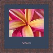 RK CADRES le numéro un encadrement 