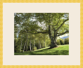 RK CADRES le numéro un encadrement 