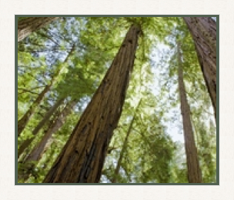 RK CADRES le numéro un encadrement 